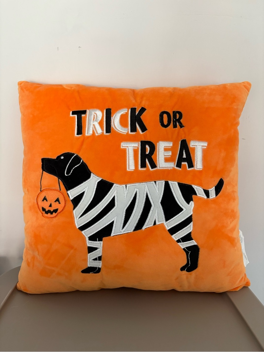 Ashland Halloween Trick Or Treat Embroidered Mummy Dog Decorative‎ Pillow 16x16